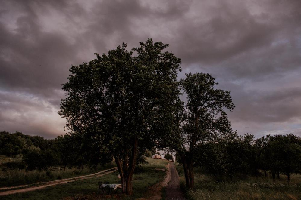 Jurty Z Widokiem, Prywatna Balia- Dzikolas Glamping Krasnobród Exterior foto