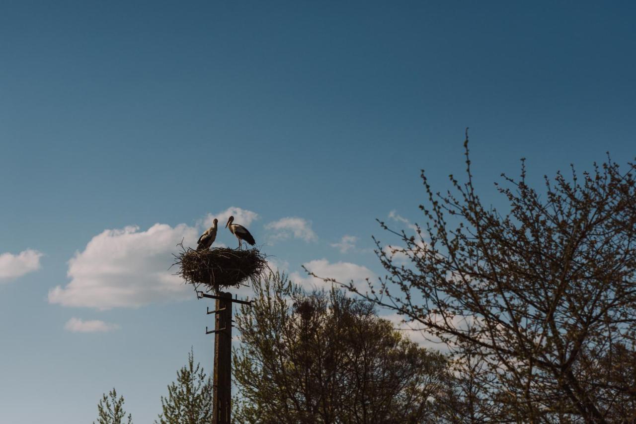 Jurty Z Widokiem, Prywatna Balia- Dzikolas Glamping Krasnobród Exterior foto
